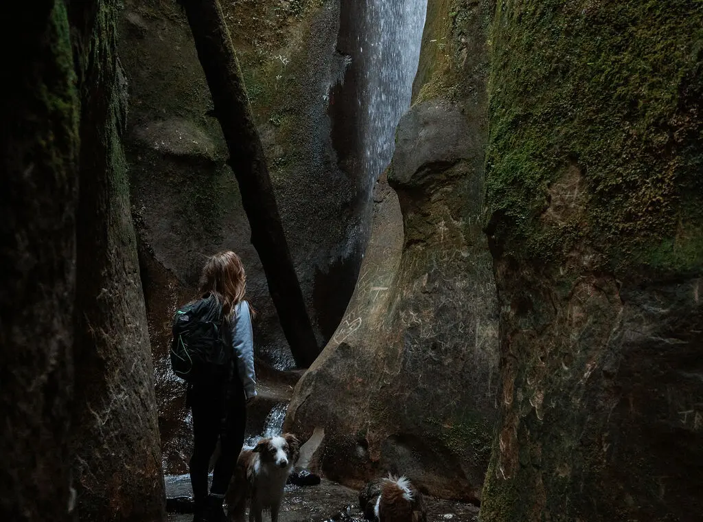 Camille from @thenorthernborders Sombrio Waterfall with dogs