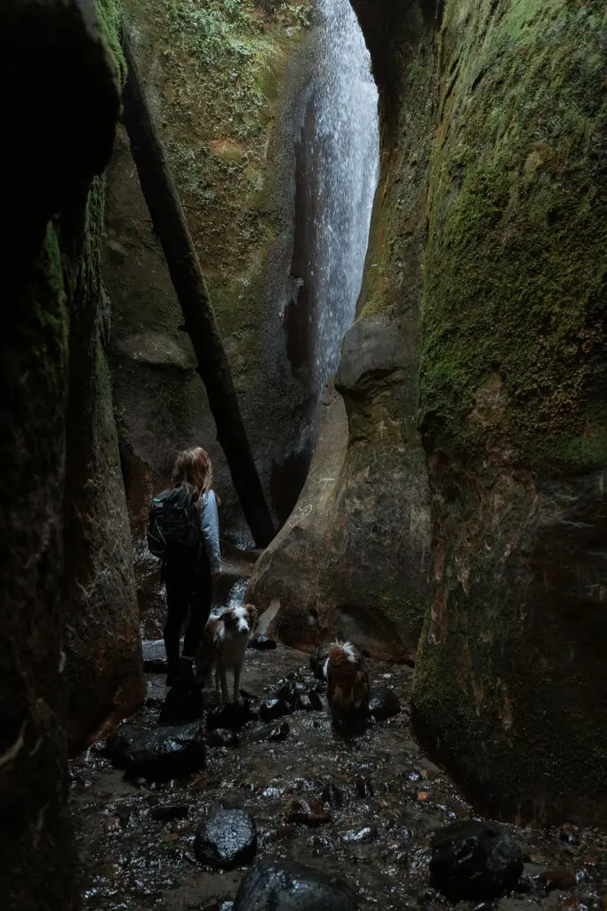 Camille from @thenorthernborders Sombrio Waterfall with dogs