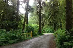 FairyLake1