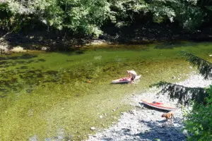 Muir Creek1