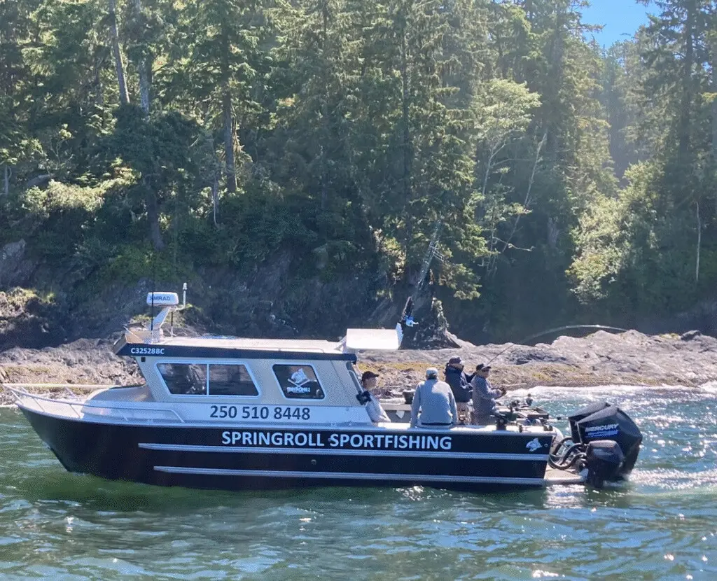 SpringRollFishing