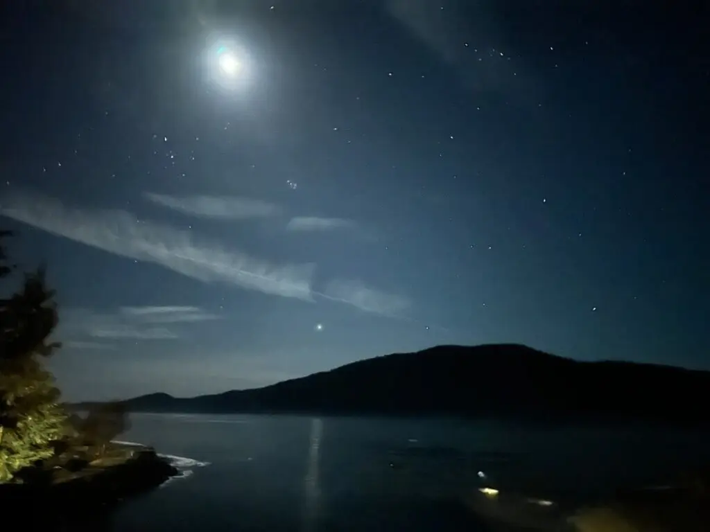 169b4626 c871 43 mJY5W