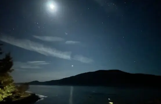 169b4626 c871 43 mJY5W