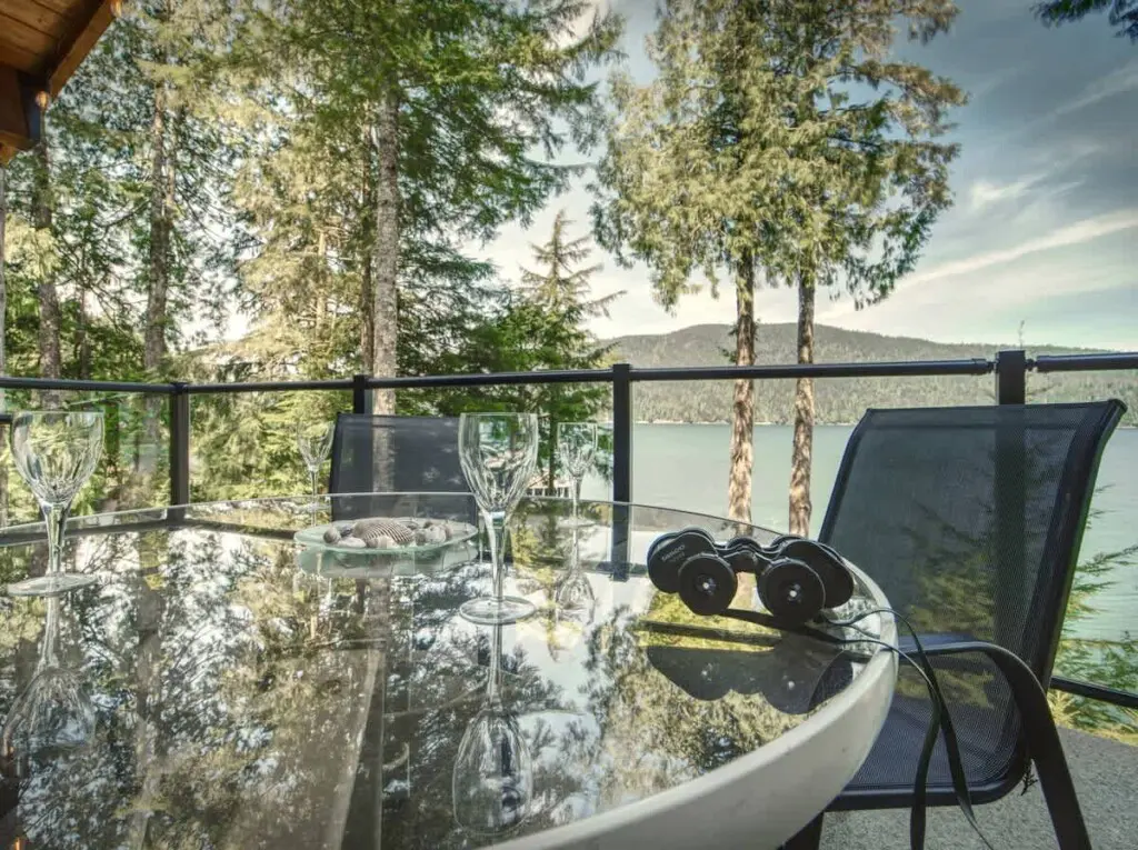 1721e70f a982 41 QCt5Y