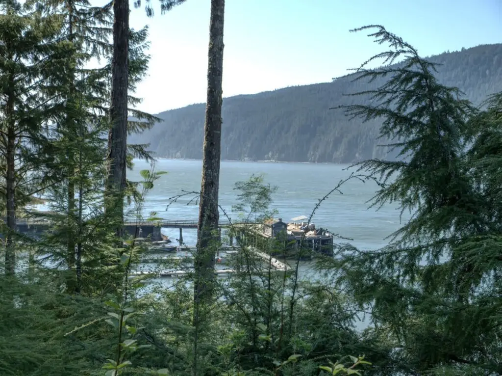 231a2ef1 9a88 43 Csu i