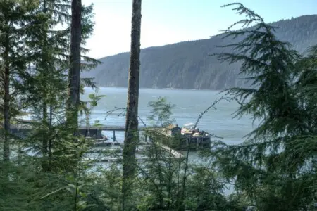 231a2ef1 9a88 43 Csu i