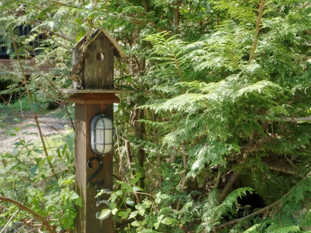 239ba00d a7e5 4b JLU1C