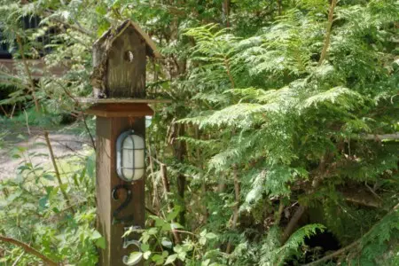 239ba00d a7e5 4b JLU1C