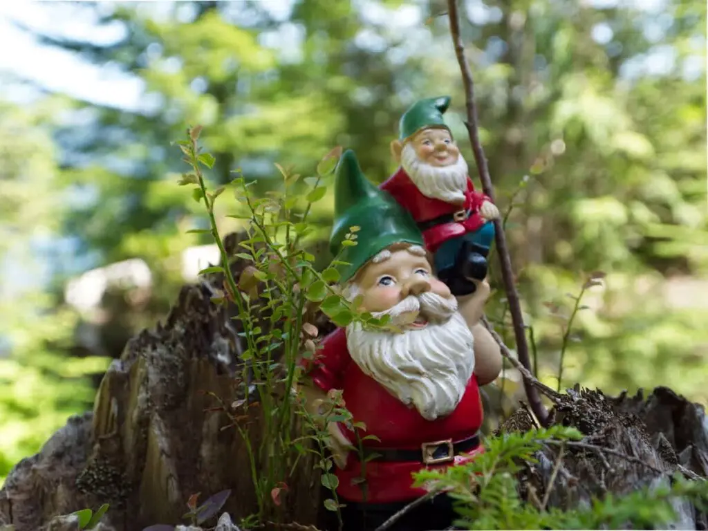 23ad584d ecf0 45 Ynogo