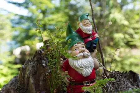 23ad584d ecf0 45 Ynogo