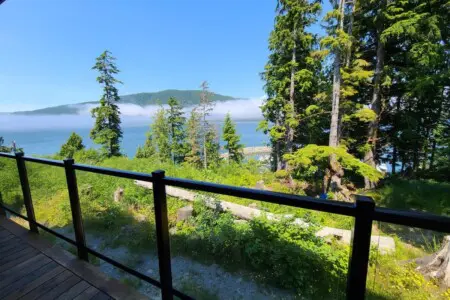 2a86e359 a237 46 F YSc