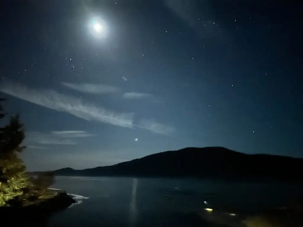 3ec8f232 f6a4 49 gXClm