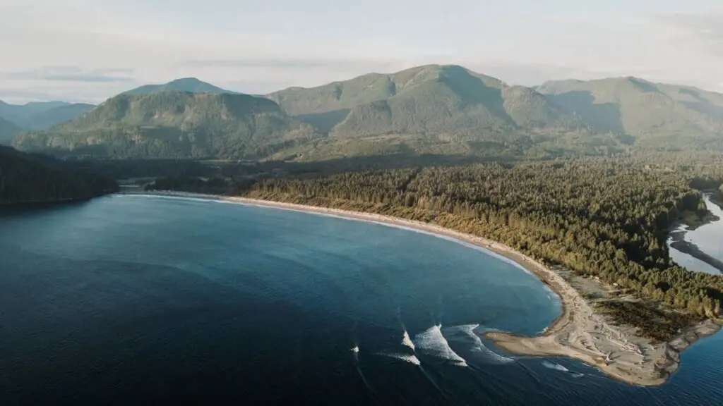 48b383f4 788e 49 9CrtV