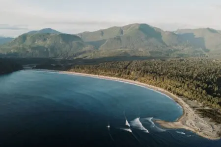 48b383f4 788e 49 9CrtV