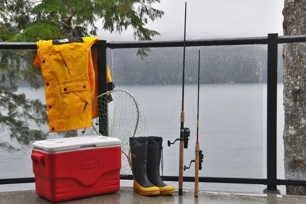 4ef8687f 3216 43 ifkxO