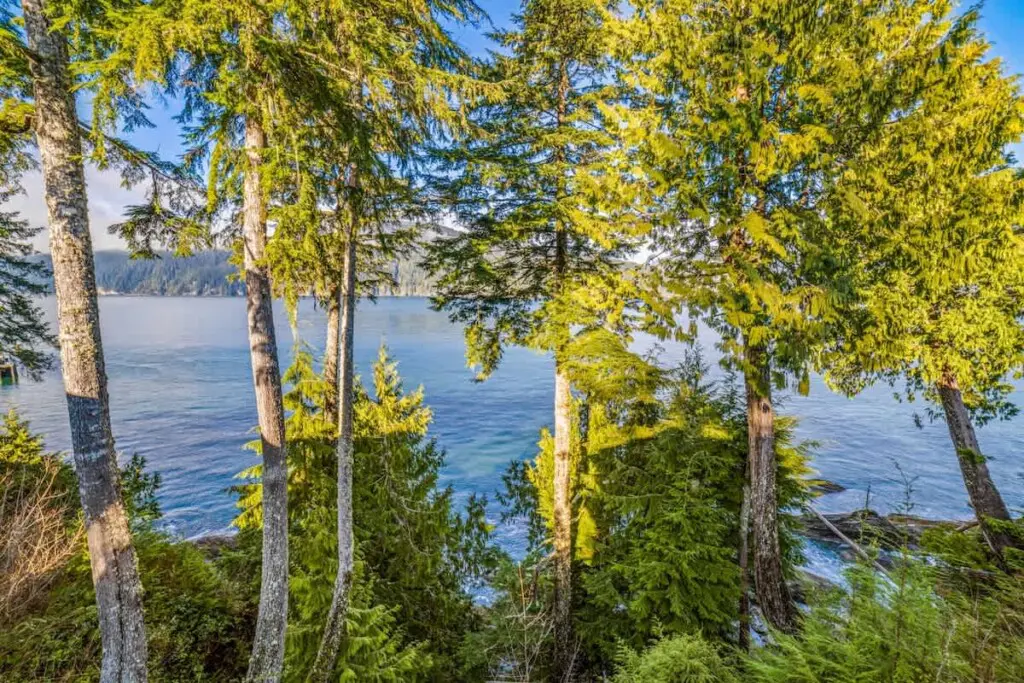 51f0cd82 fcde 4a lGbjT