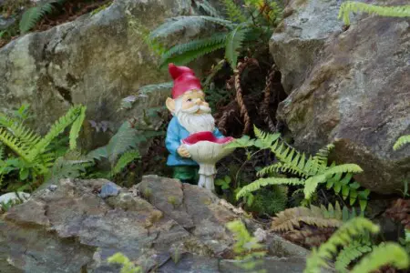 5ac1bc4b 252c 48 jU tC