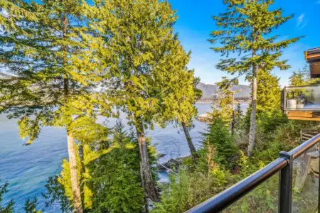 60a50db3 7b52 41 OJslt