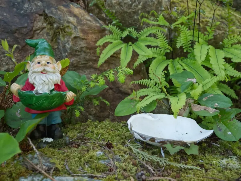 64da1917 c78e 43 ZOAv8