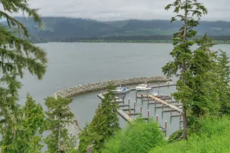 695081d0 e1ff 4b TLY1S