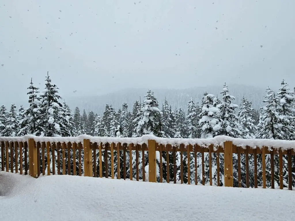 7d14b091 05c0 49 t5X30