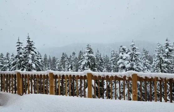 7d14b091 05c0 49 t5X30