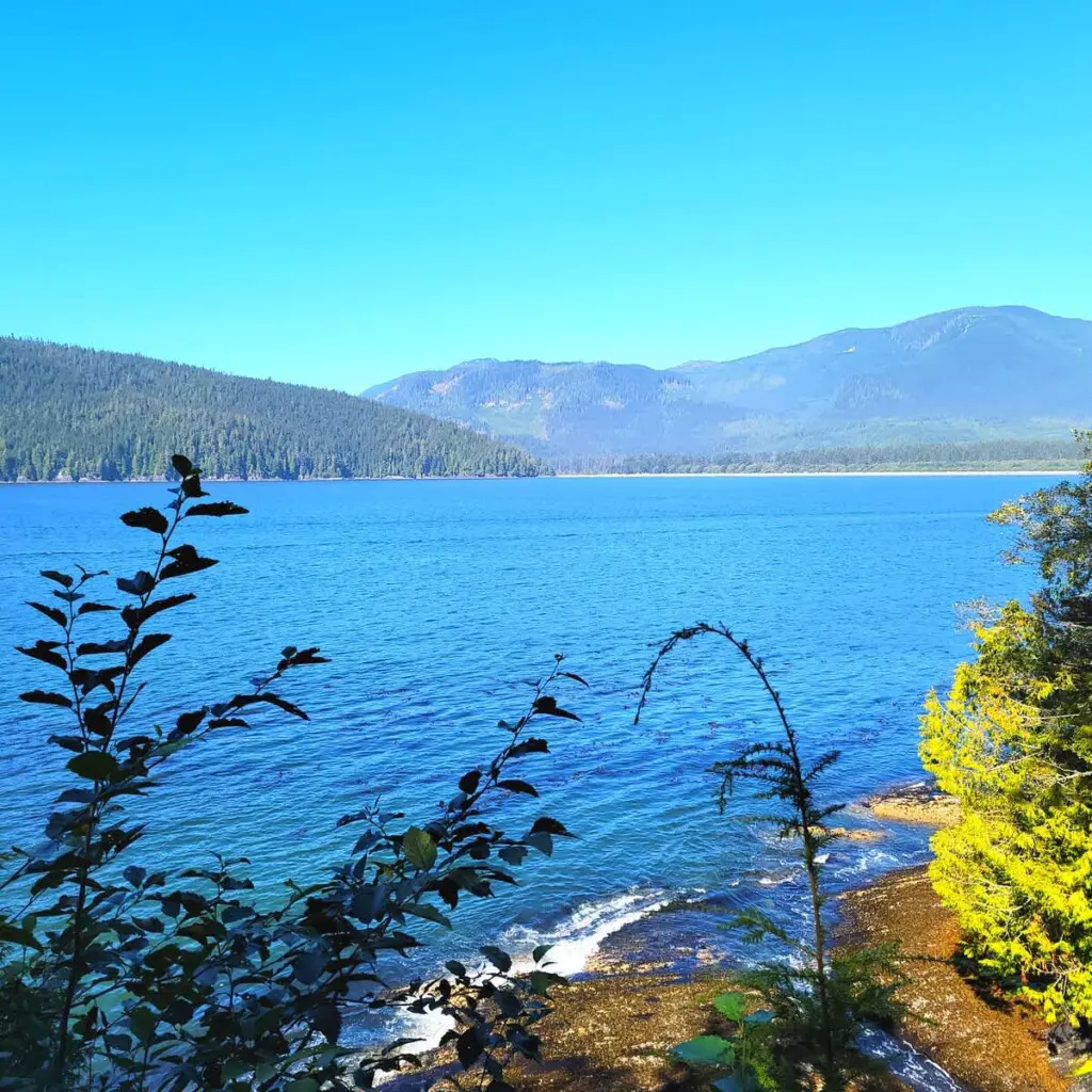 8fb95949 957d 4d WZX0V