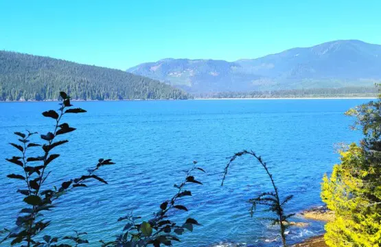 8fb95949 957d 4d WZX0V