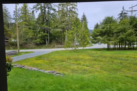 961bf3fa 57db 4a NF1k