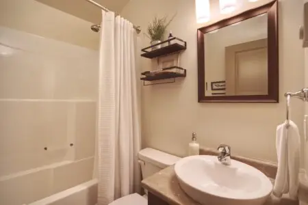 a12bb576 559e 47 ZnTv1