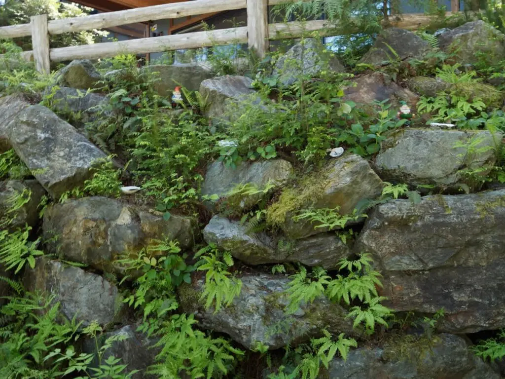 a5d840f3 3c0d 4f CvZN