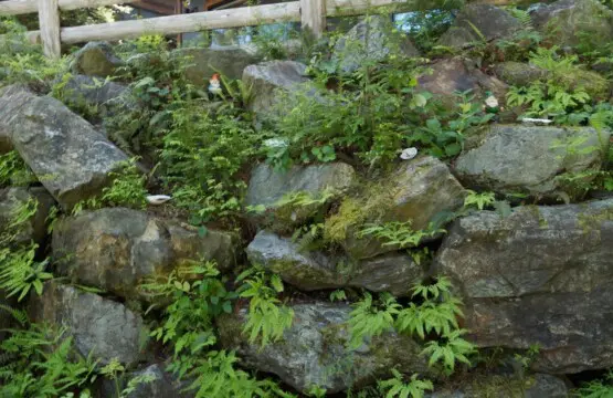 a5d840f3 3c0d 4f CvZN