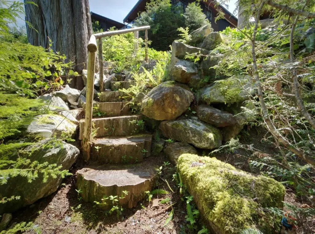 aa7bc851 4f24 41 ckZYf