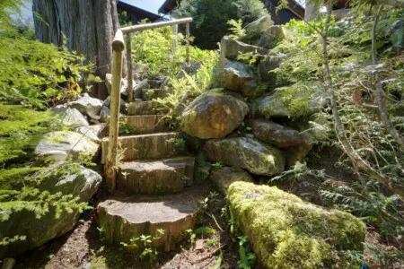 aa7bc851 4f24 41 ckZYf