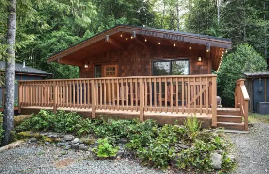 ae17f924 e4ed 49 qd7HU