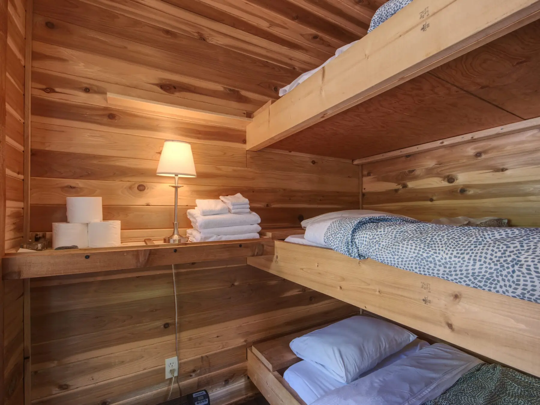 ascc4rukwqrhjz55grsx