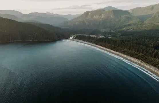 bc11e858 906f 4a bt m9