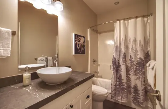 c96f1c46 c4de 48 COskj