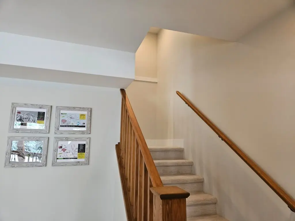 cf07b004 f48c 46 aiIdH