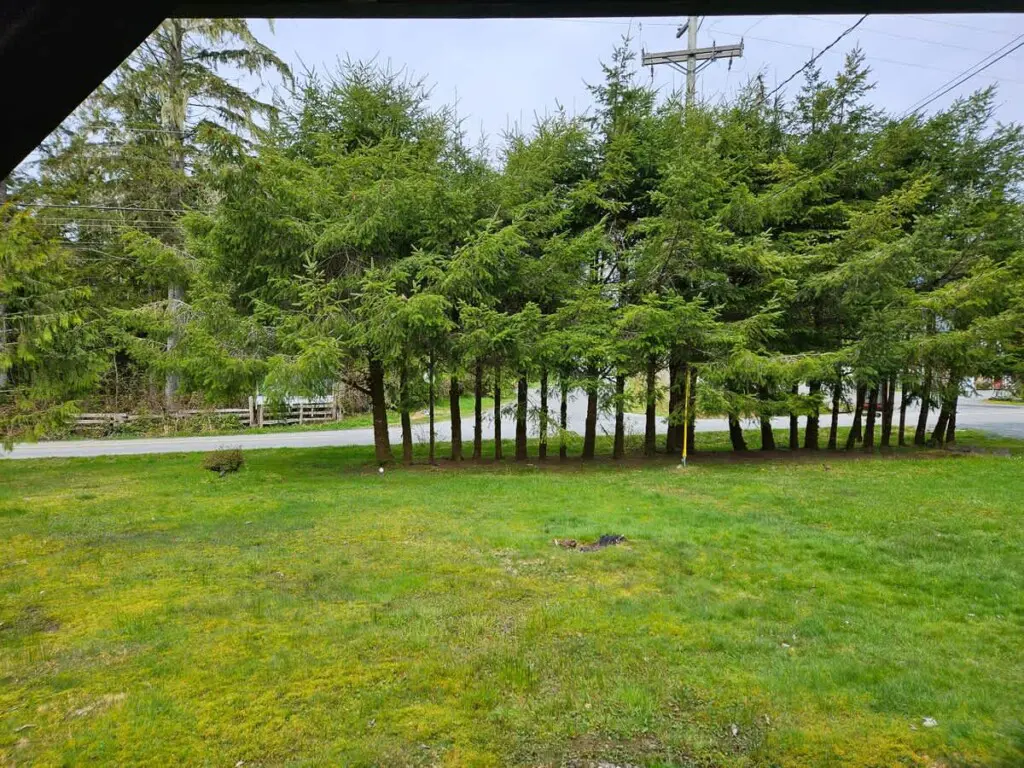 d11da686 5867 45 xaLgw