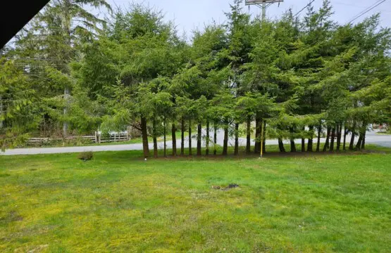 d11da686 5867 45 xaLgw