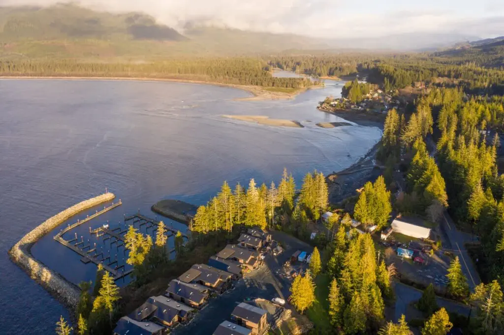 d1cced49 311a 40 DbdBI