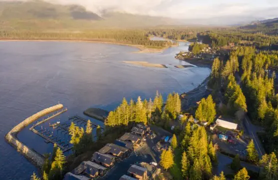 d1cced49 311a 40 DbdBI