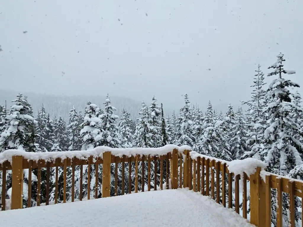 e8202778 8c86 44 Xae6C