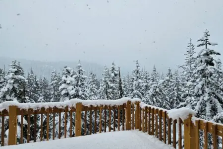 e8202778 8c86 44 Xae6C