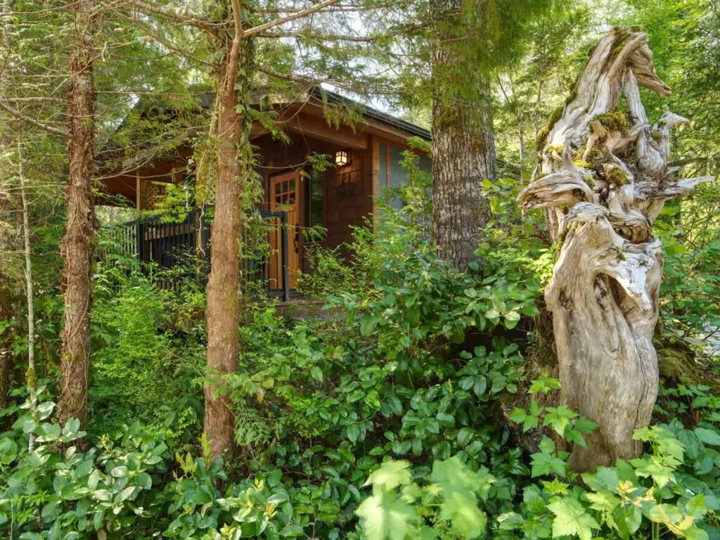 fc3f4fe5 9760 49 AxEHC