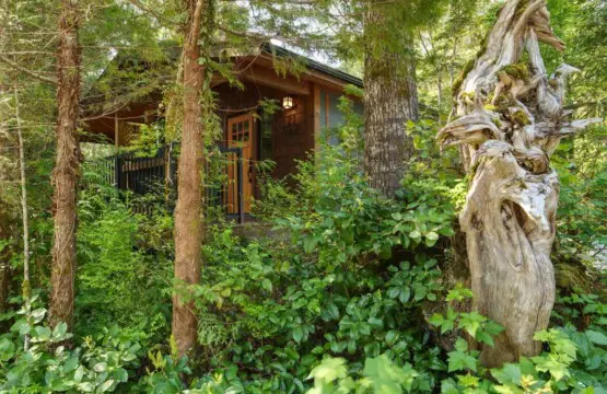 fc3f4fe5 9760 49 AxEHC