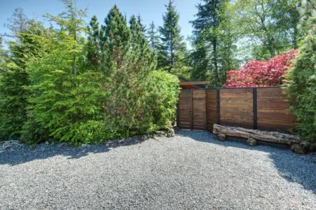 oymygt82detdkpbytbsv