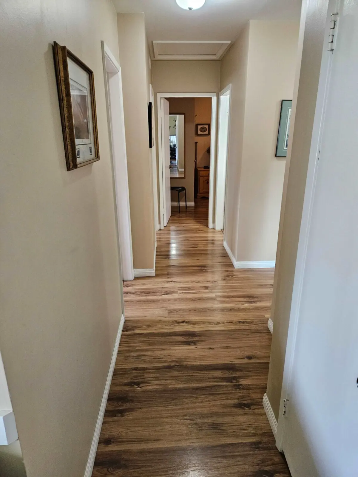 pltzl4jszgcf4iclg9oz