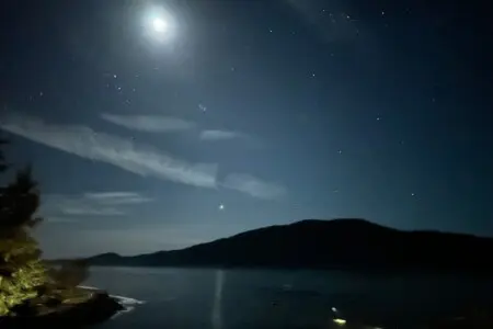 169b4626 c871 43 mJY5W